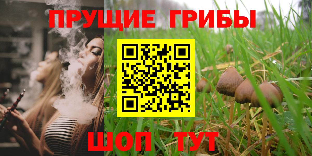 Галлюциногенные грибы мухоморы Гусиноозёрск