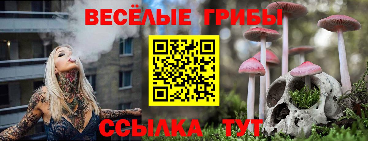 Псилоцибиновые грибы Cubensis  Галлюциногенные грибы Psilocybine cubensis  цены наркотик  Вход с VPN  Гусиноозёрск 